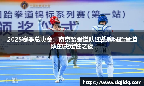 2025赛季总决赛：南京跆拳道队迎战聊城跆拳道队的决定性之夜